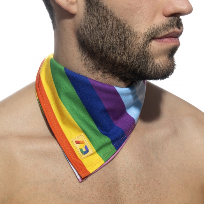 INCLUSIVE RAINBOW SCARF